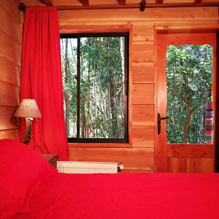 Okori Hostel Pucón Kültér fotó