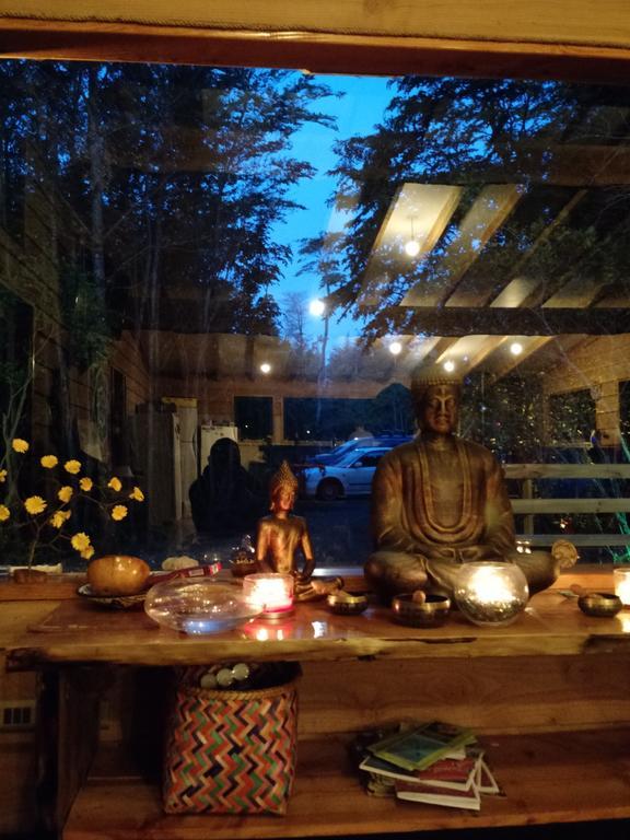 Okori Hostel Pucón Kültér fotó