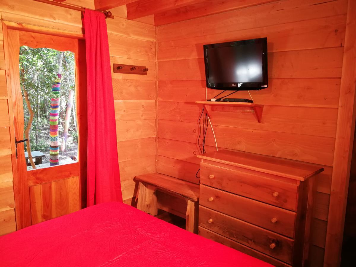 Okori Hostel Pucón Kültér fotó