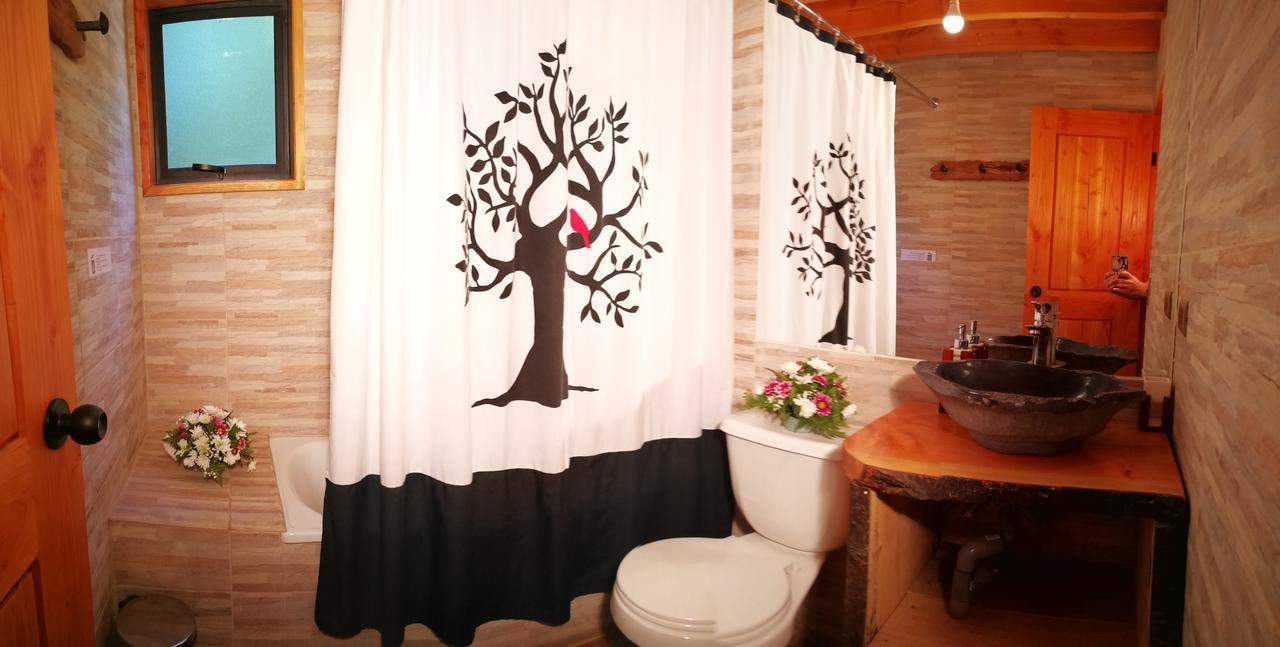 Okori Hostel Pucón Kültér fotó