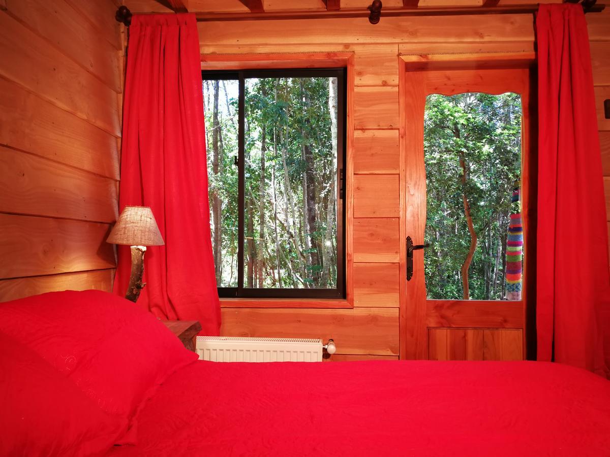 Okori Hostel Pucón Kültér fotó